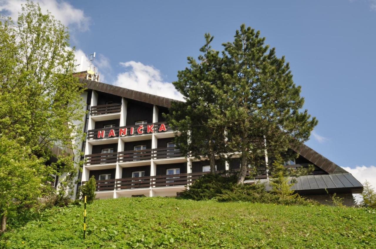 Horsky Hotel Hanicka Špindlerŭv Mlýn Екстериор снимка
